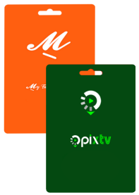 trimestral-6-AQE4lxlQ39HQ6Q3z